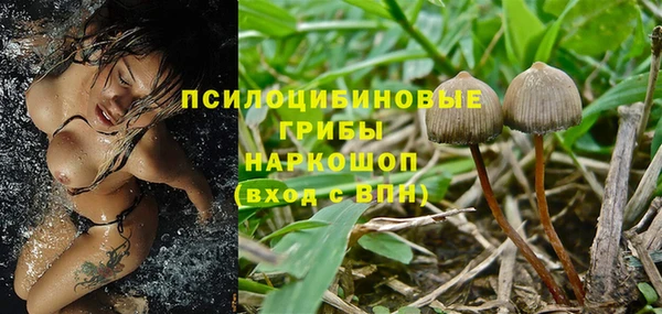амф Зерноград