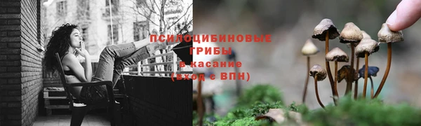 таблы Зеленодольск