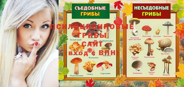 амф Зерноград