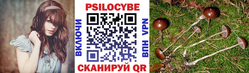 Псилоцибиновые грибы MAGIC MUSHROOMS продажа наркотиков kraken ссылки Знаменск