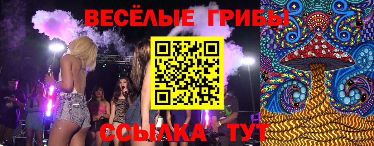 Знаменск  Галлюциногенные грибы Psilocybine cubensis  Псилоцибиновые грибы Magic Shrooms  Вход с VPN 