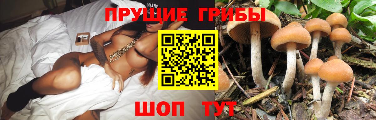 Галлюциногенные грибы Magic Shrooms Знаменск