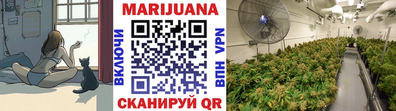 Каннабис White Widow Знаменск